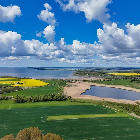 Rex Rugia Haus 17 02 *