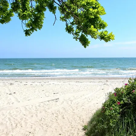 Rex Rugia Haus 17 02 *